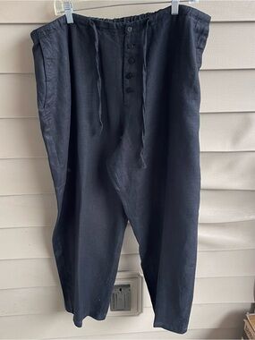 Bridgewater Studio‎ 100% Linen Button Front Pants Size 20 WP Coastal Lagenlook